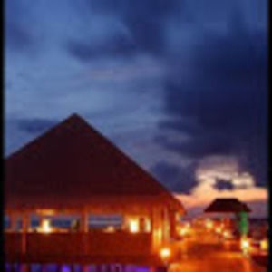 Meet your Posher, Corey